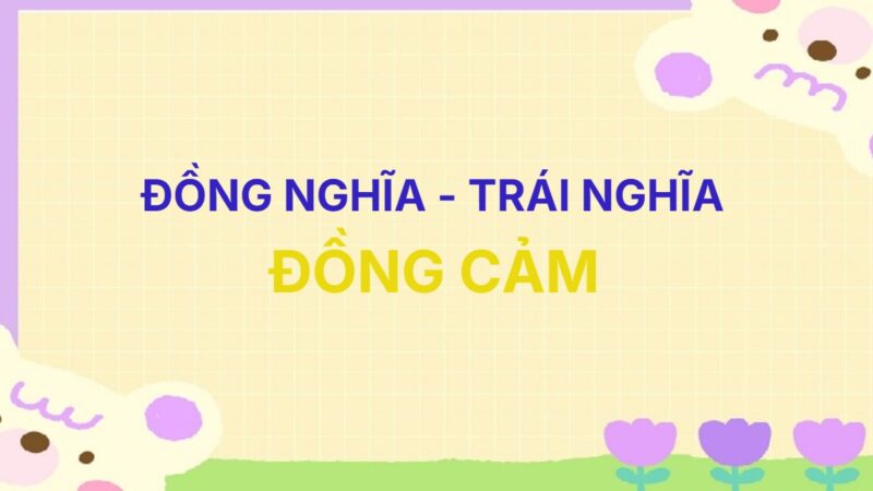 Từ đồng nghĩa và trái nghĩa với từ Đồng Cảm