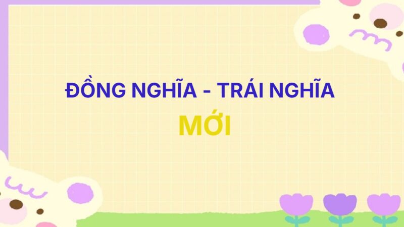 Từ đồng nghĩa và trái nghĩa với từ Mới