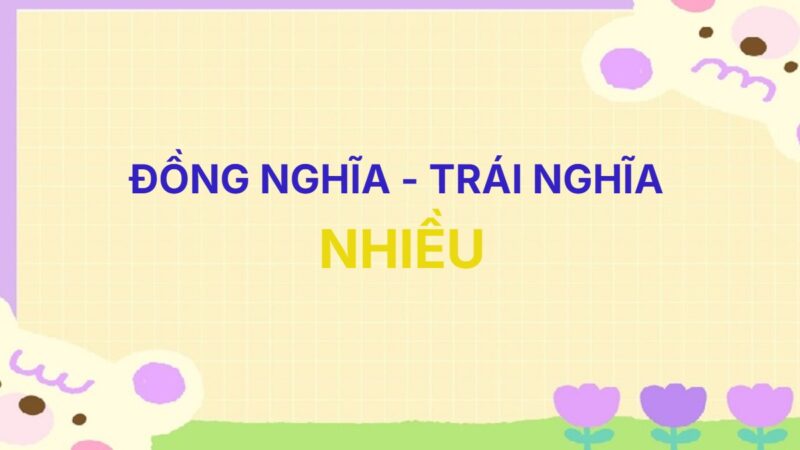 Từ đồng nghĩa và trái nghĩa với từ Nhiều