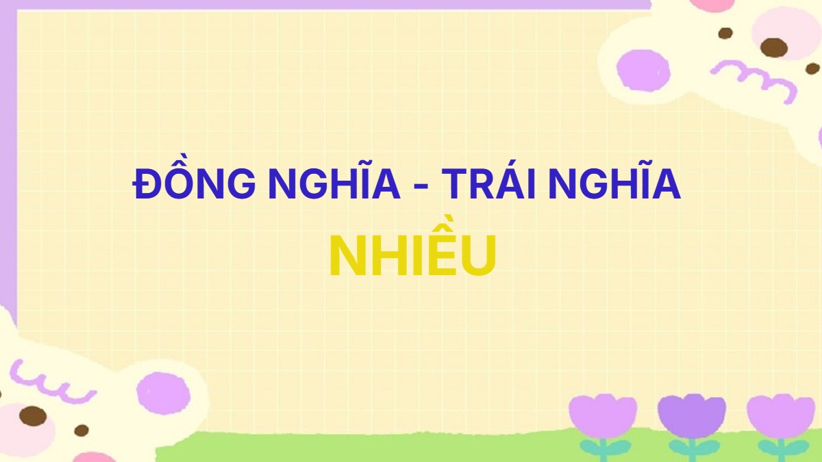 Từ đồng nghĩa và trái nghĩa với từ Nhiều