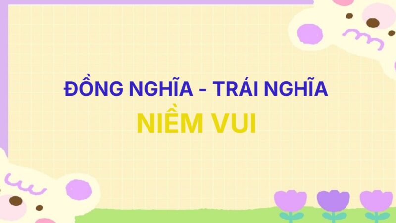 Từ đồng nghĩa và trái nghĩa với từ Niềm Vui