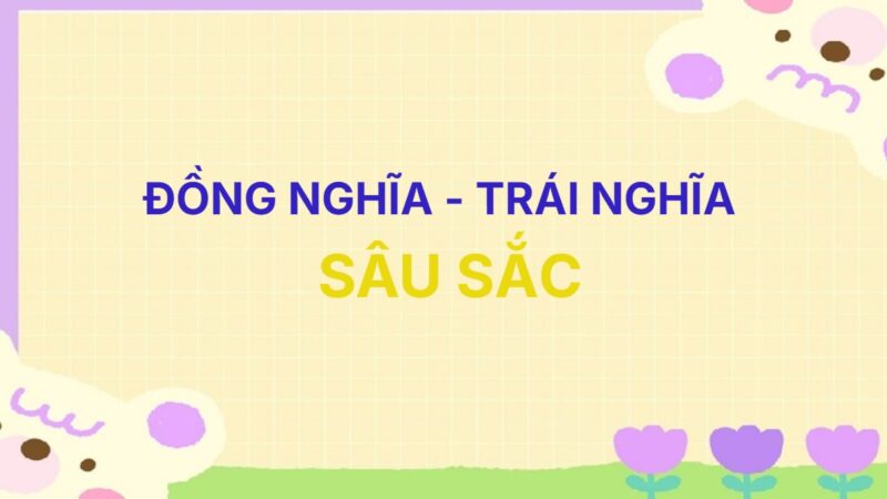 Từ đồng nghĩa và trái nghĩa với từ Sâu Sắc