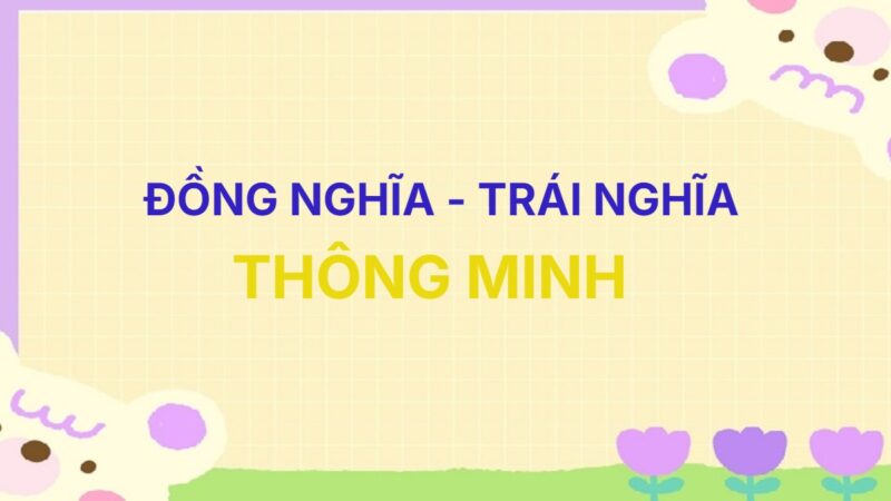 Từ đồng nghĩa và trái nghĩa với từ Thông Minh