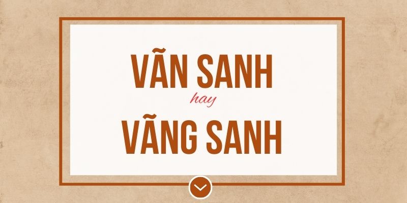 Vãn sanh hay vãng sanh đúng chính tả? Ý nghĩa và mẹo ghi nhớ