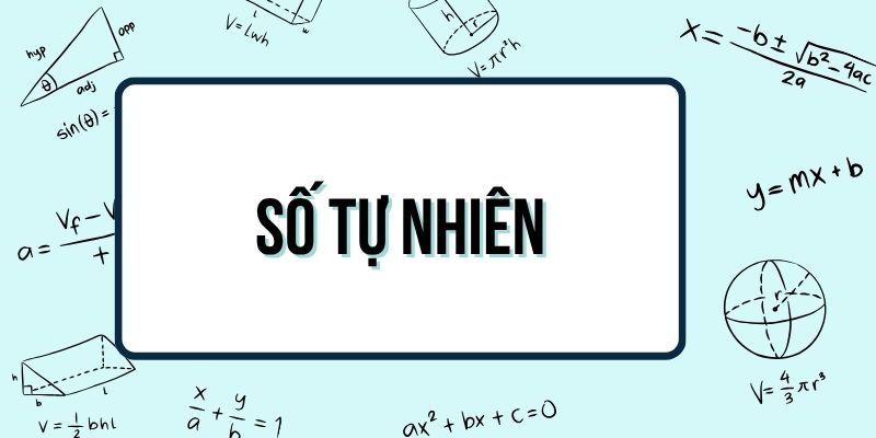 Số tự nhiên là gì? Gồm những số nào và bắt đầu từ số mấy?