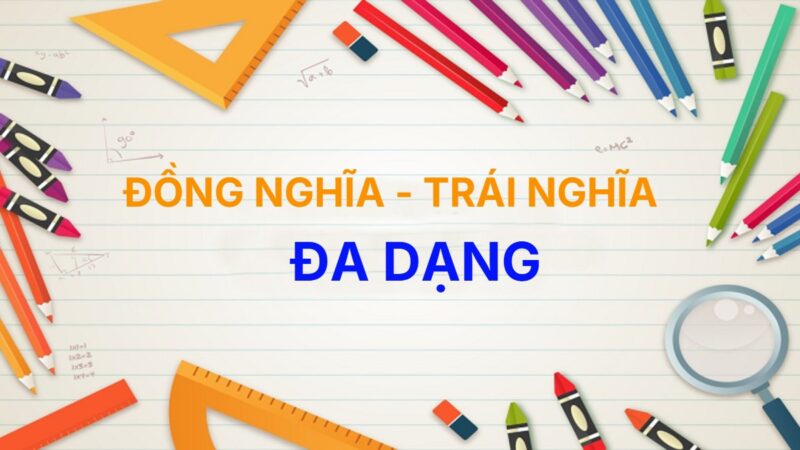 Từ đồng nghĩa và trái nghĩa với từ Đa Dạng