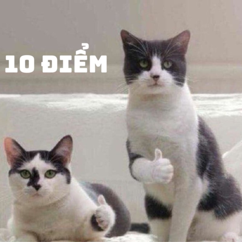 10 điểm meme bà già