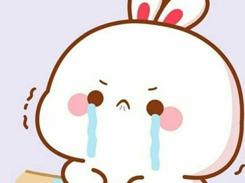 Meme sáng tạo dí dỏm