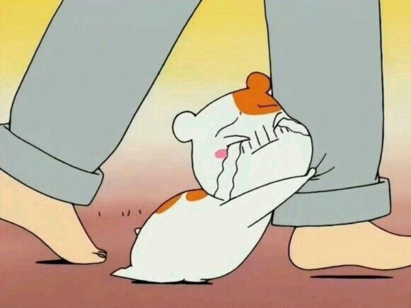 Meme viral dí dỏm