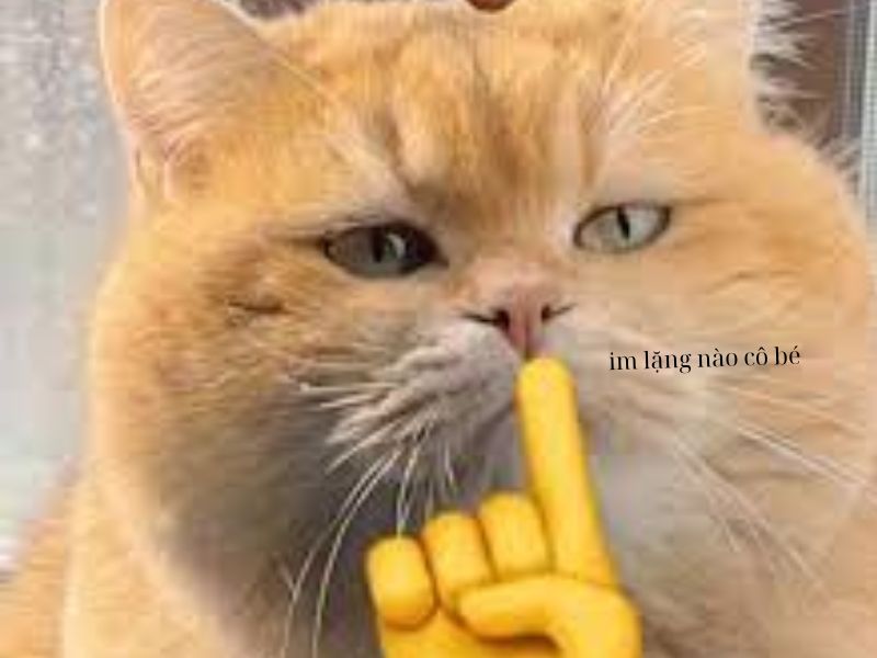 Suỵt meme dễ thương