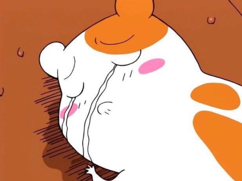 Meme viral cộng đồng