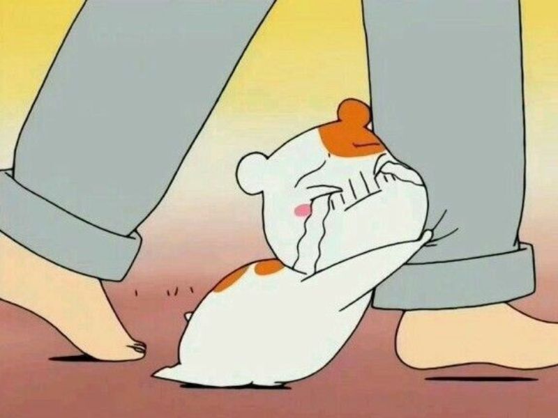 Meme hiện đại vui