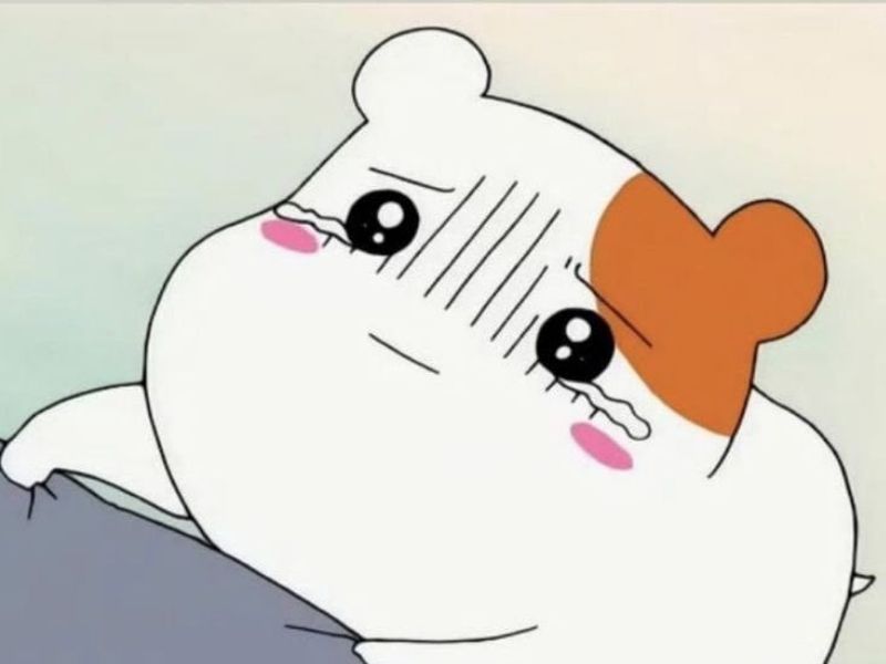 Meme dí dỏm hiện đại