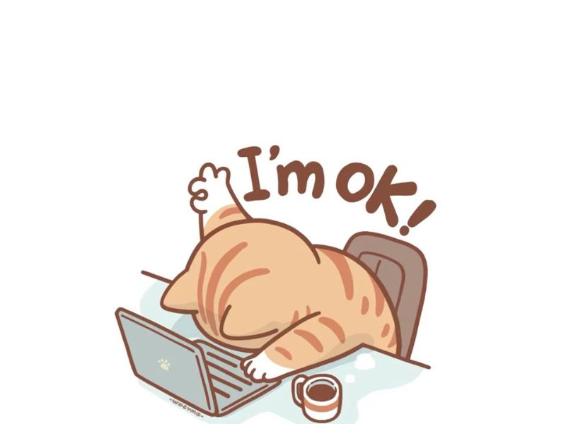 Meme trend hài hước