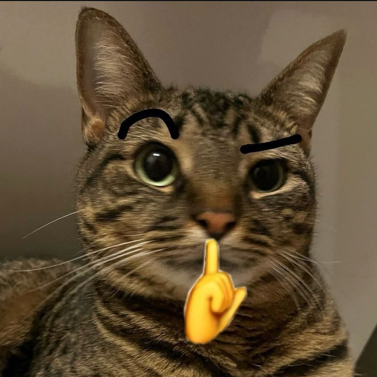 Im đi cho quen