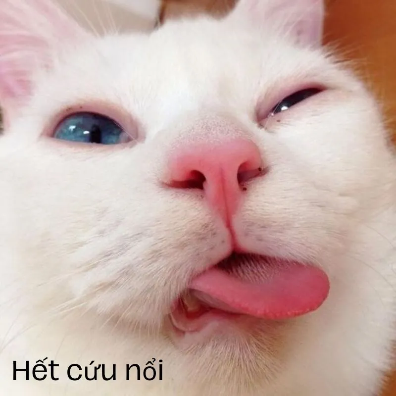 Ai cứu nổi nữa trời
