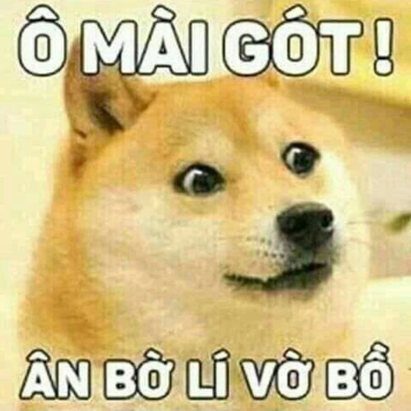 Ai nói sai cũng buồn, Cheems nói sai thì cute
