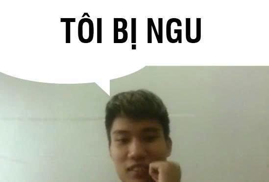 Ai từng bắt gặp meme ngu chắc chắn sẽ không nhịn được