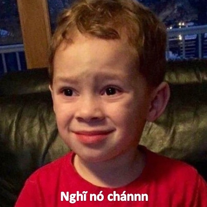 Ảnh bất lực meme