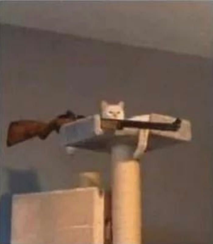 Ảnh chế bắn súng đáng yêu