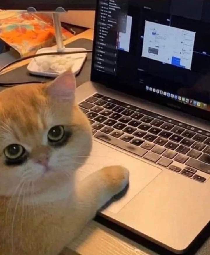 Ảnh chế con vật mệt mỏi buồn cười