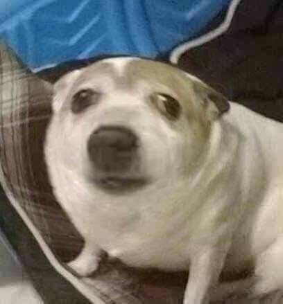 Ảnh chế hoang mang sáng tạo