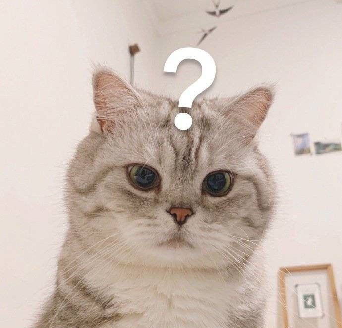 Ảnh chế khó hiểu độc đáo