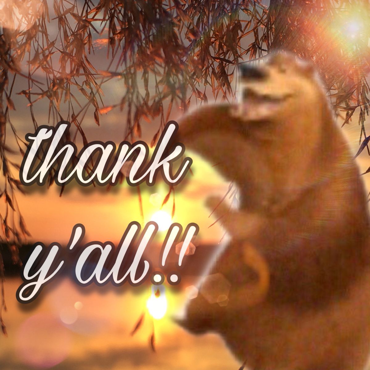 Ảnh chế thuyết trình độc đáo