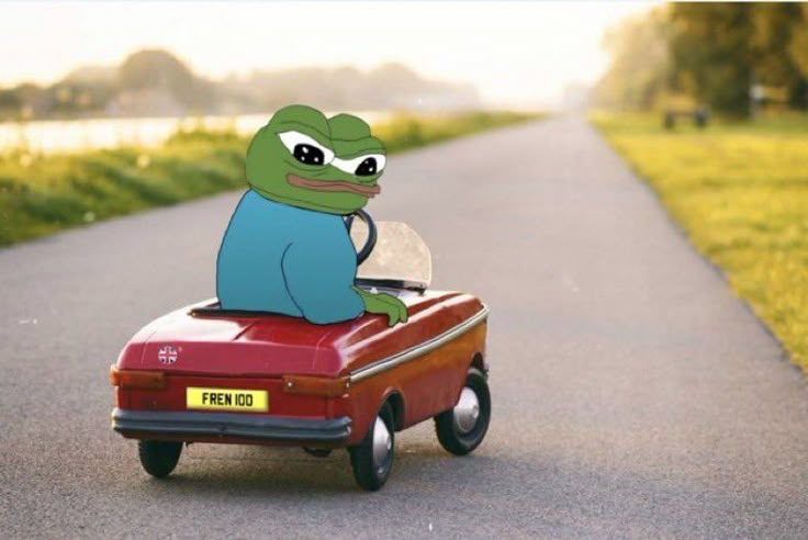 Ảnh con ếch meme