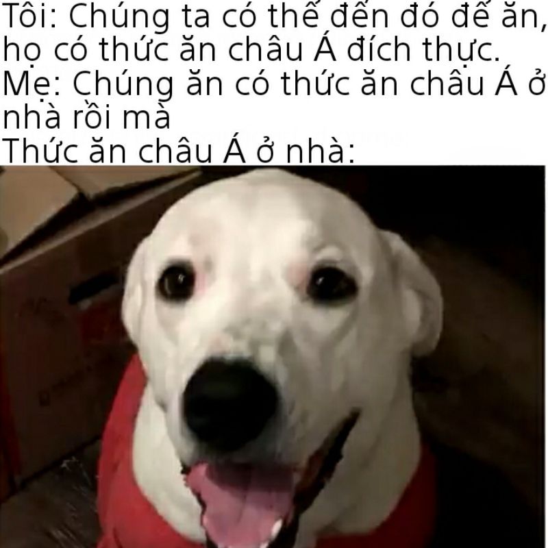 ảnh dak meme cực tối