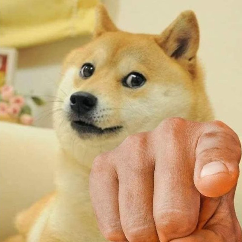 Ảnh dog meme