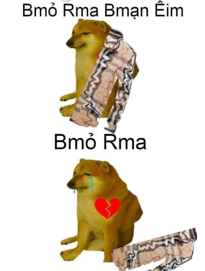 Ảnh meme cheems