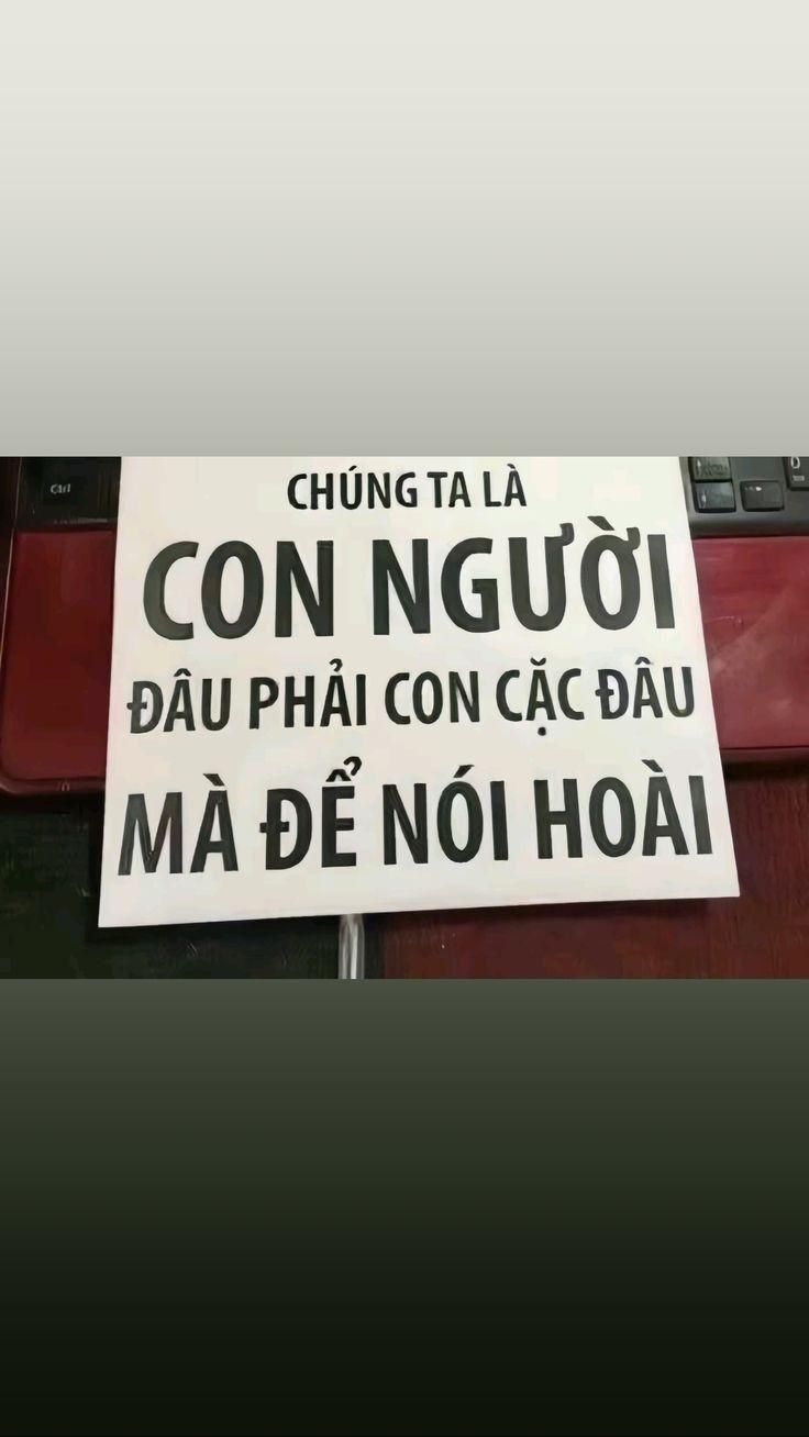 Ảnh meme chửi tục tình huống hài