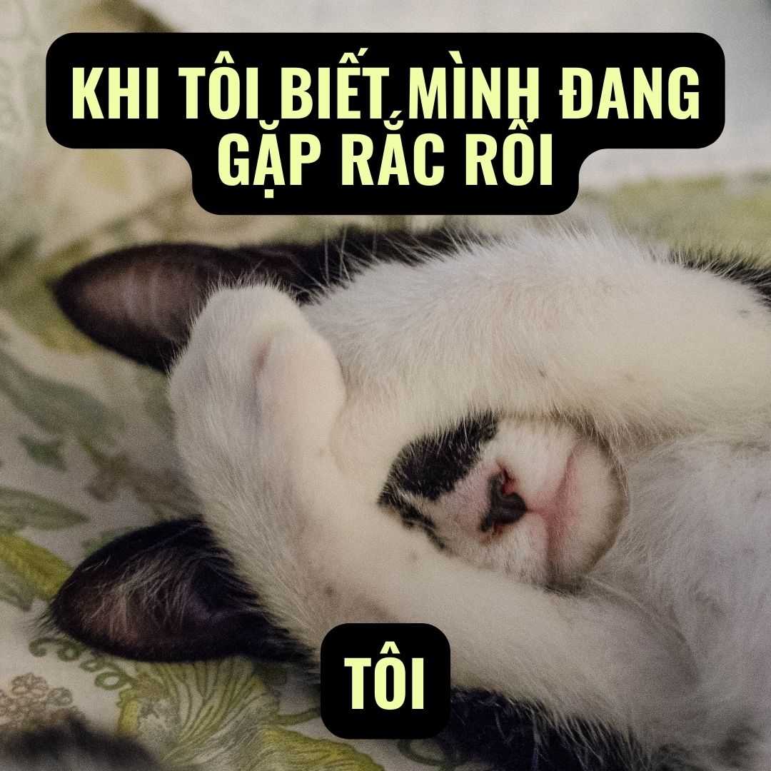 Ảnh meme khóc