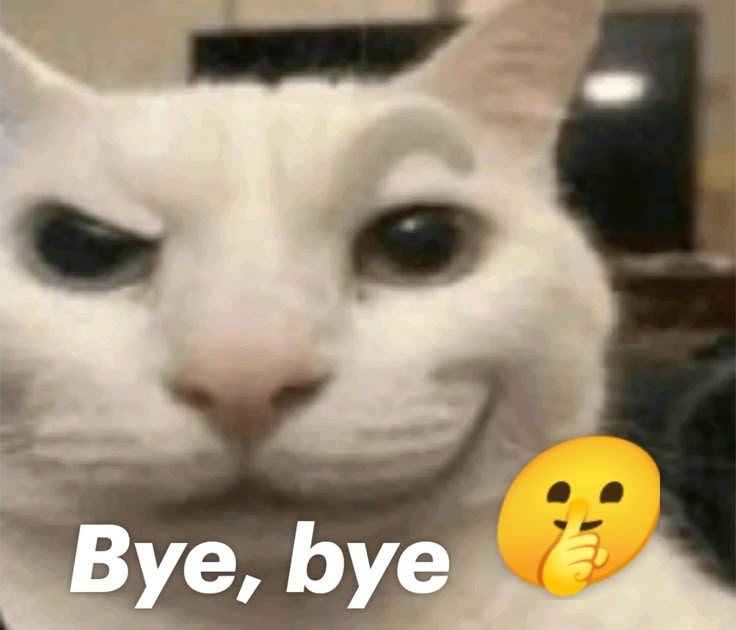 Ảnh meme tạm biệt dễ thương khiến lời chào trở nên đáng nhớ hơn