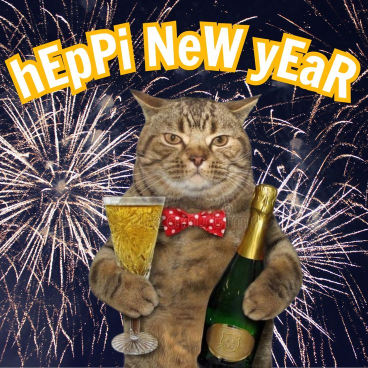 Ảnh meme Tết hài hước là lựa chọn tuyệt vời cho ngày đầu năm