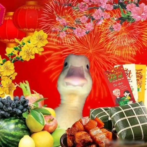 Ảnh meme Tết mang đến tiếng cười giòn giã cho ngày đầu xuân