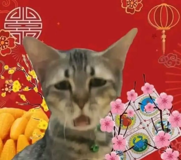 Ảnh meme Tết rộn ràng góp phần tạo nên mùa lễ hội náo nhiệt