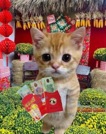 Ảnh meme Tết sáng tạo góp phần làm không khí Tết thêm phần náo nhiệt