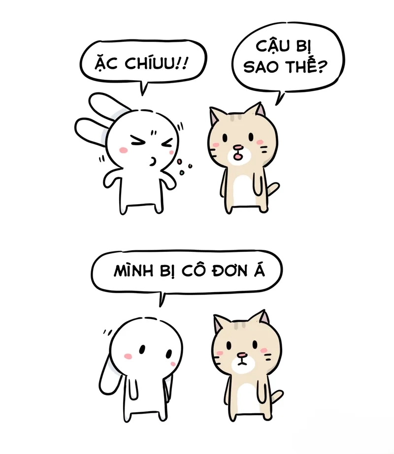 Thỏ đã học cách im lặng sau tất cả