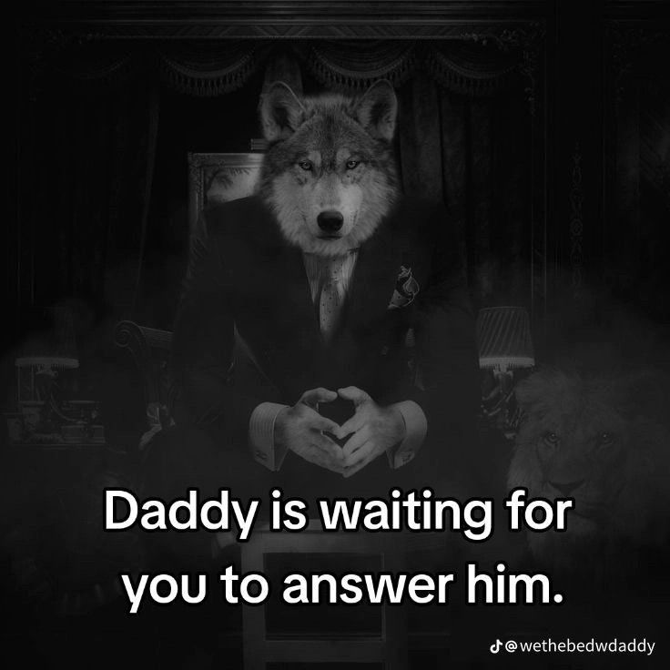 Ảnh sói cô độc meme cho thấy khả năng chế ảnh sáng tạo không ngừng nghỉ