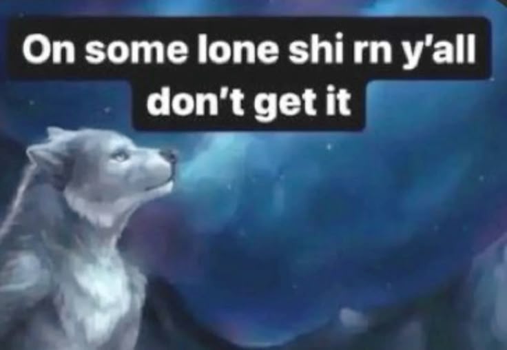 Ảnh sói cô độc meme cho thấy sức hút bền bỉ của văn hóa chế ảnh hài hước