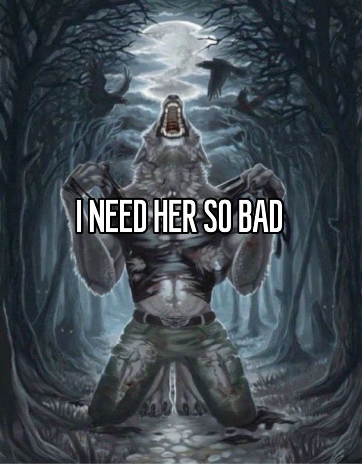 Ảnh sói cô độc meme là lựa chọn phổ biến khi chế ảnh troll bạn bè