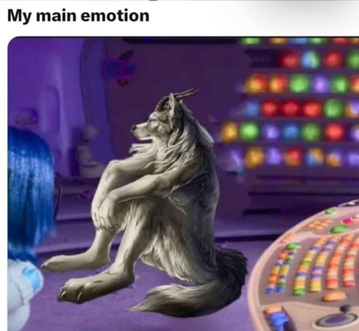 Ảnh sói cô độc meme tạo nên những tiếng cười vui nhộn qua các biến thể hài