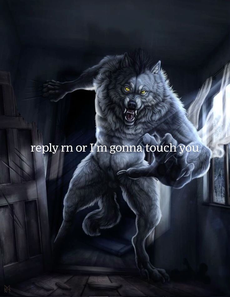 Ảnh sói cô độc meme