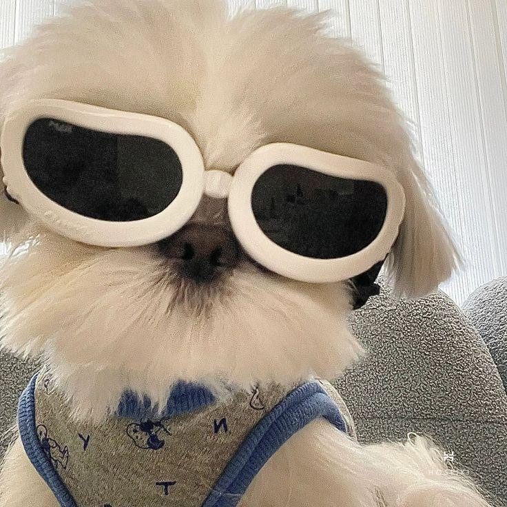 Khám Phá Avatar Vô Tri Cute Độc Đáo - We Art Studio