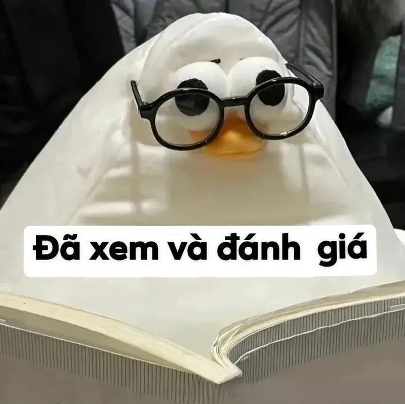 Khám phá các ảnh vô tri meme đang gây bão mạng xã hội