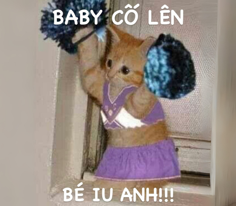 Baby cố lên