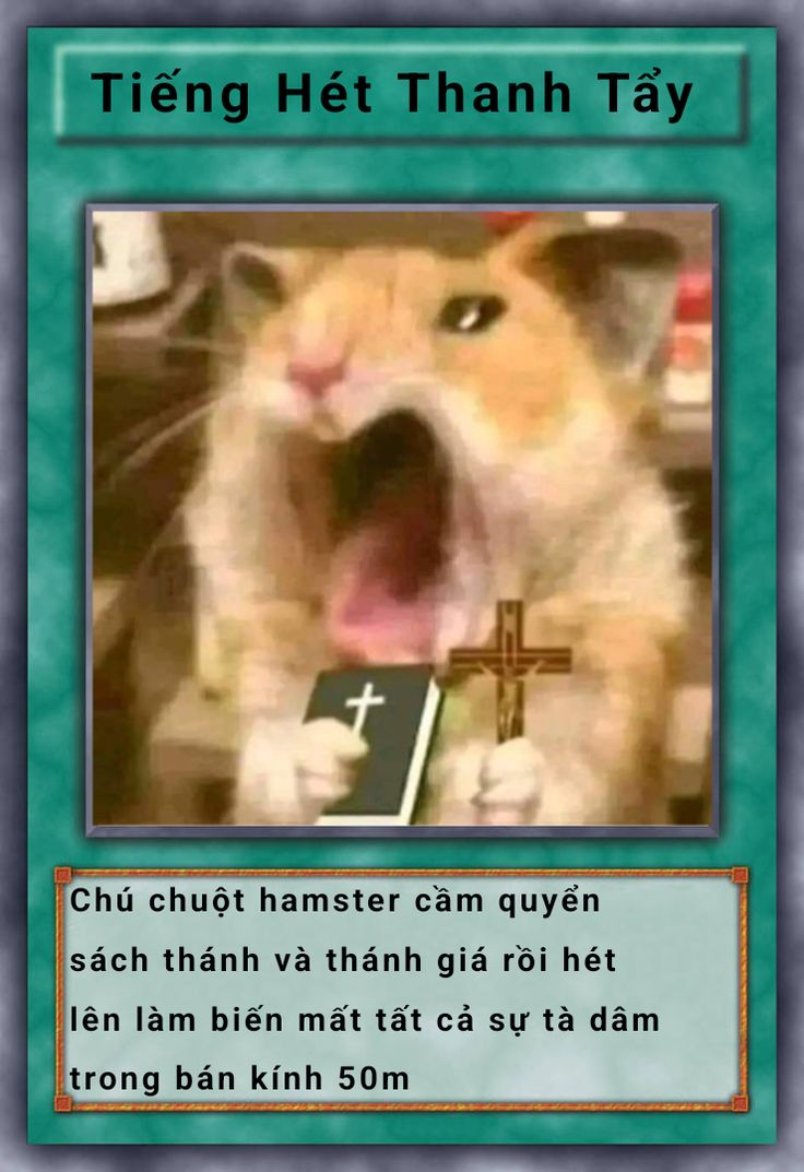 Bài Yugioh meme
