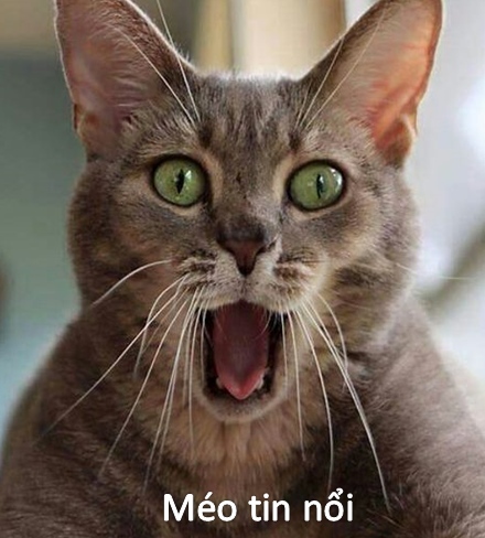 Bất ngờ chưa bà già